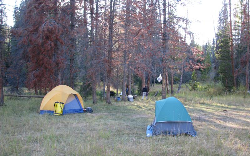Name:  Camp near Elkhorn Mountain Trail.jpg
Views: 820
Size:  83.5 KB